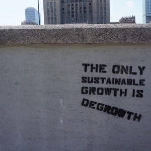 The only sustainable growth is degrowth