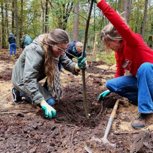 Groen traineeship